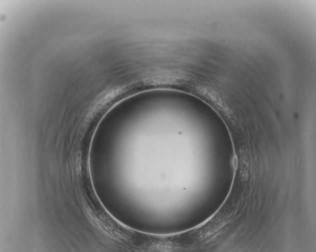 X0000060760631200511171149