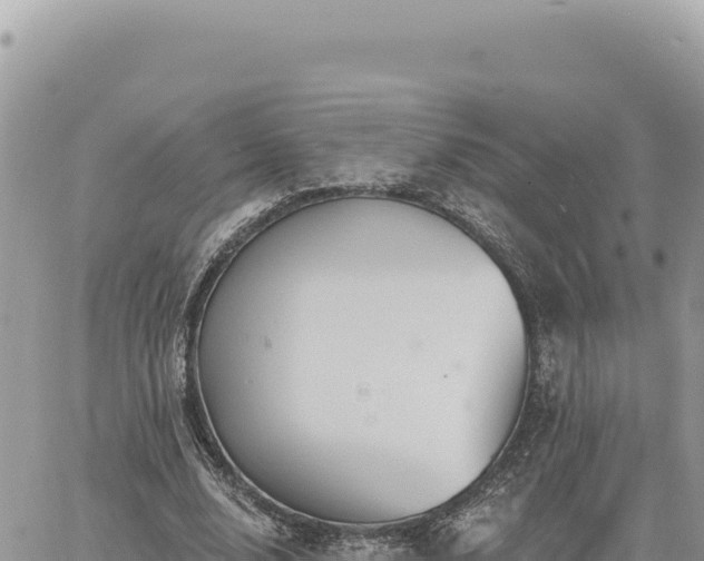 X0000060760632200511171149