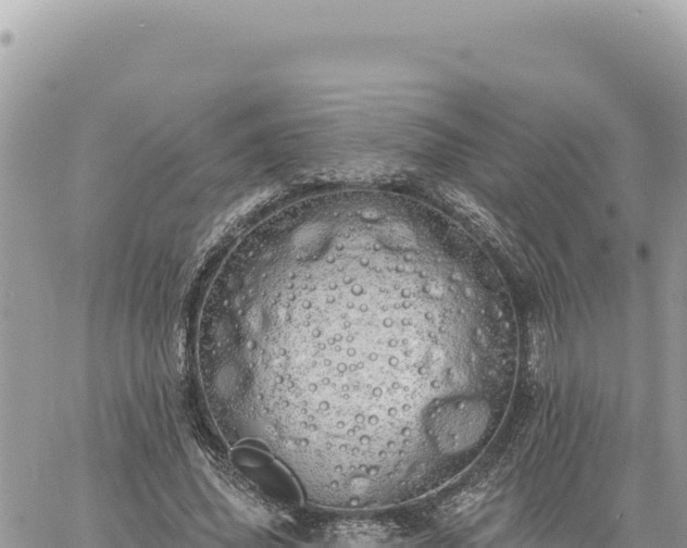 X0000060760636200511171149