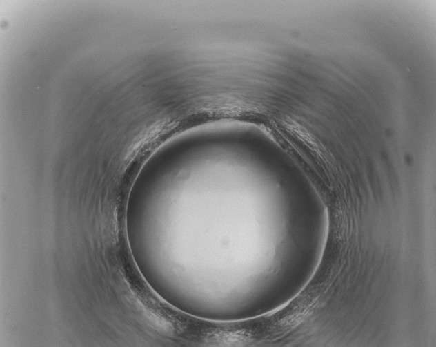 X0000060760638200511171149