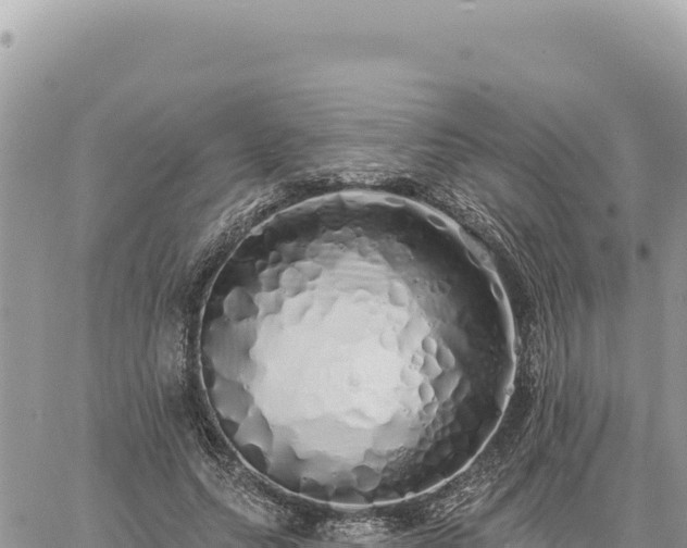 X0000060760639200511171149