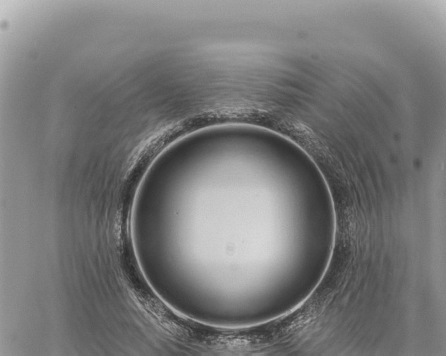 X0000060760640200511171149