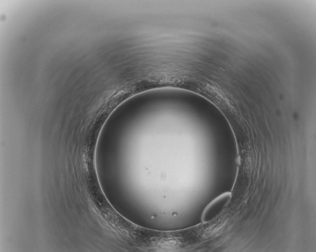 X0000060760643200511171149