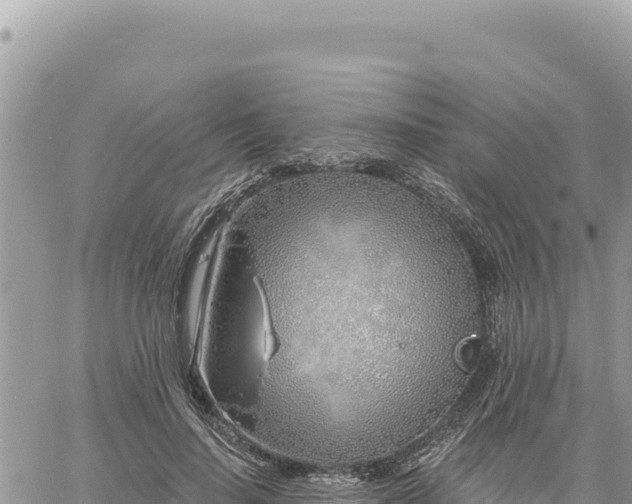 X0000060760644200511171149