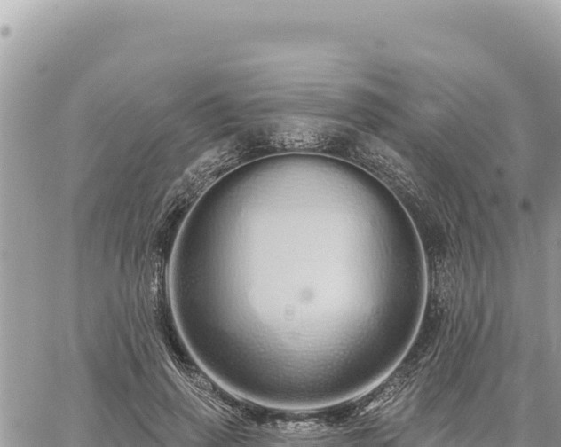 X0000060760645200511171149