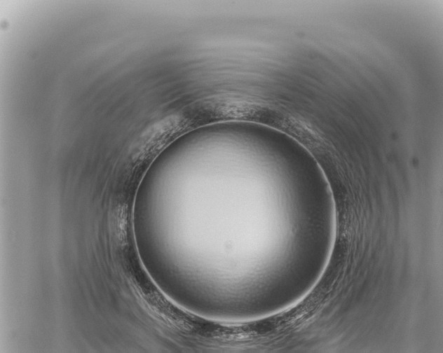 X0000060760646200511171149