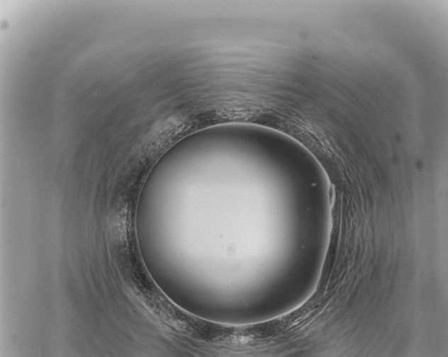 X0000060760647200511171149