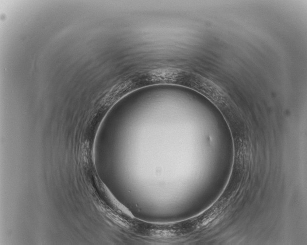 X0000060760649200511171149