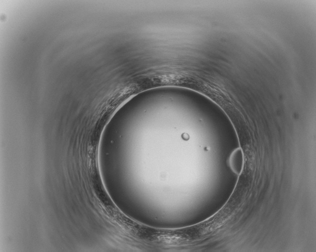 X0000060760650200511171149