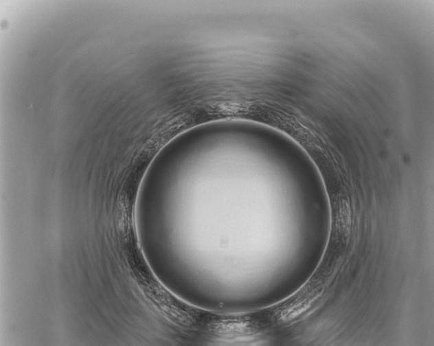 X0000060760651200511171149