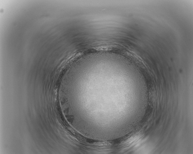 X0000060760652200511171149