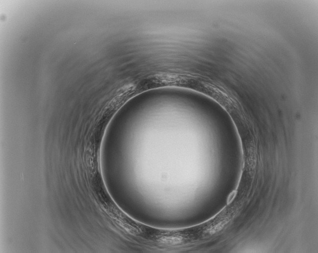 X0000060760653200511171149