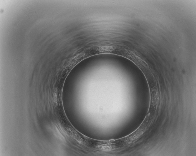 X0000060760655200511171149