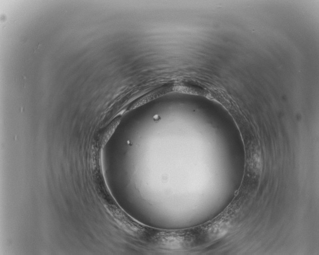 X0000060760658200511171149