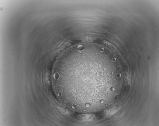 X0000060760663200511171149