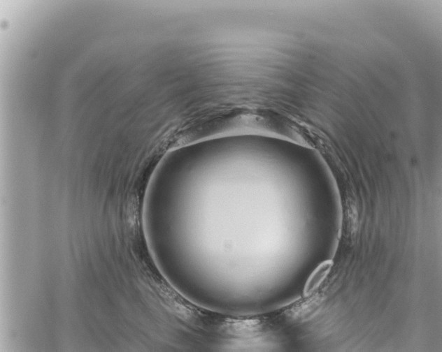 X0000060760665200511171149