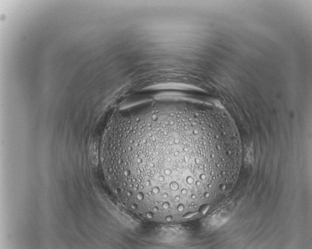 X0000060760666200511171149