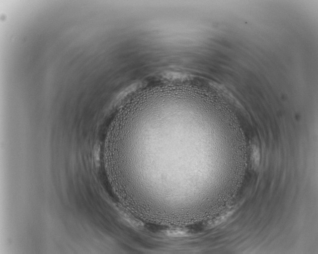 X0000060760668200511171149