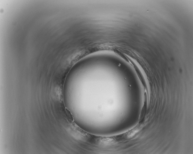 X0000060760669200511171149