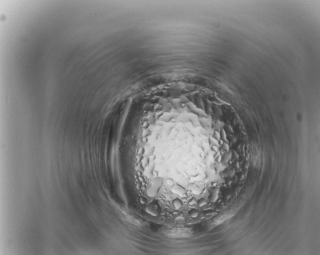 X0000060760670200511171149