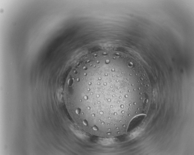 X0000060760671200511171149