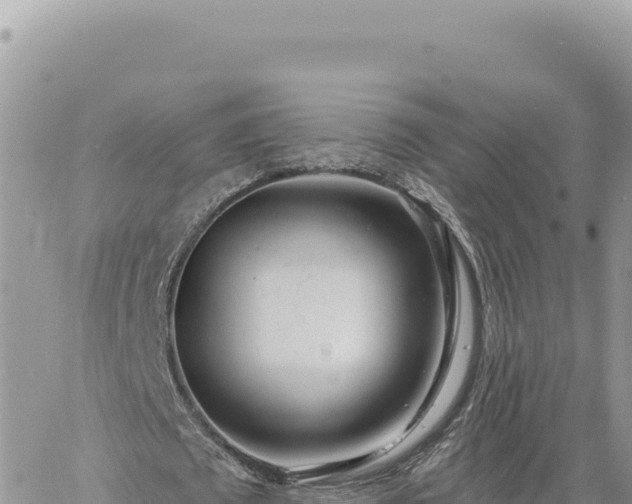 X0000060760673200511171148