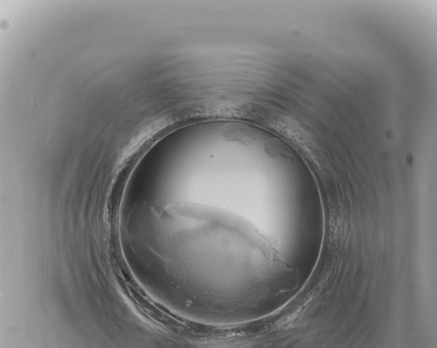 X0000060760674200511171148