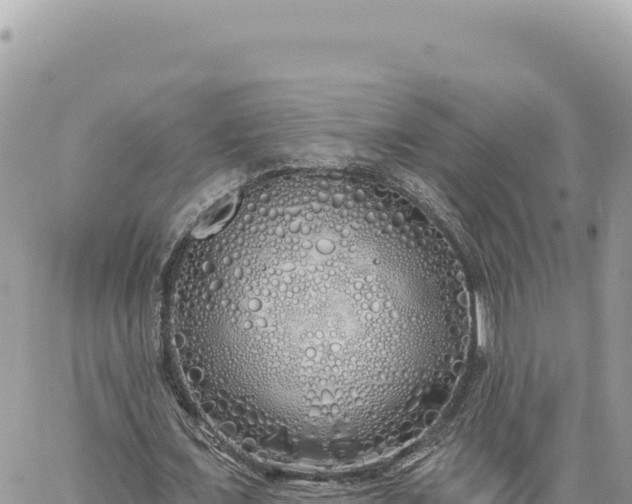 X0000060760675200511171148