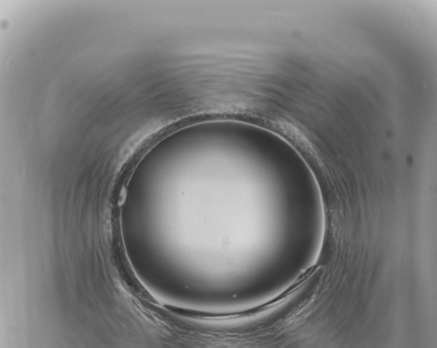 X0000060760676200511171148