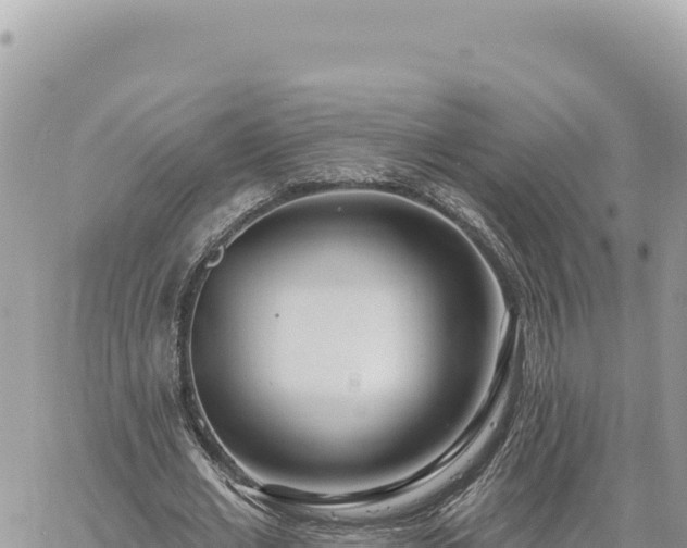 X0000060760677200511171148