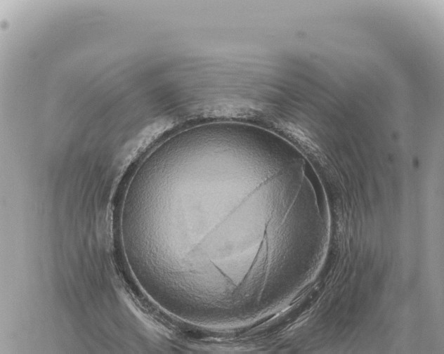 X0000060760678200511171148