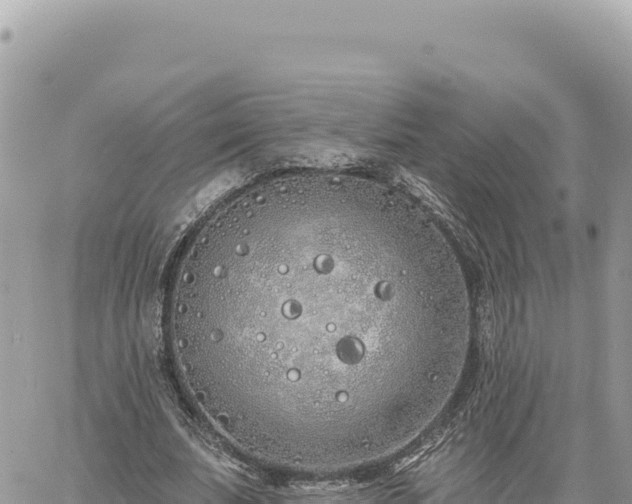 X0000060760679200511171148