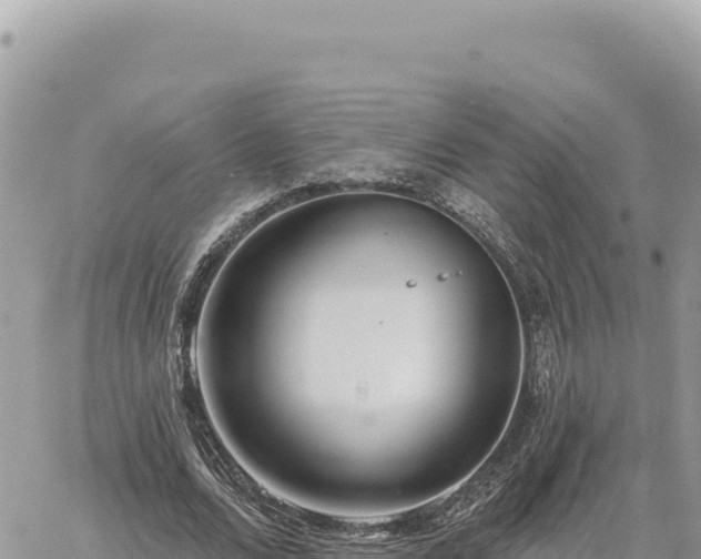 X0000060760680200511171148