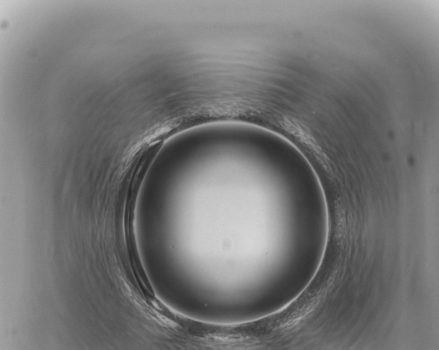 X0000060760681200511171148