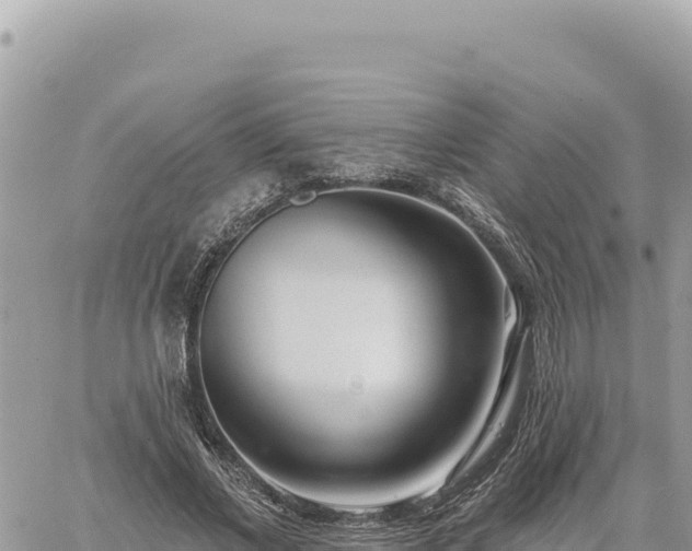 X0000060760685200511171148