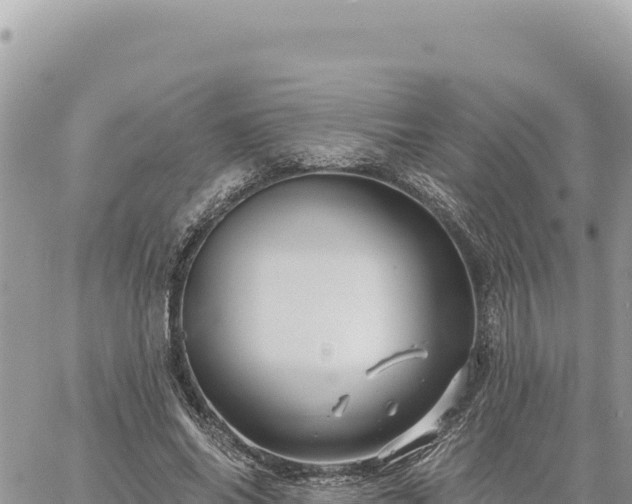 X0000060760686200511171148