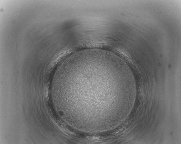 X0000060760687200511171148