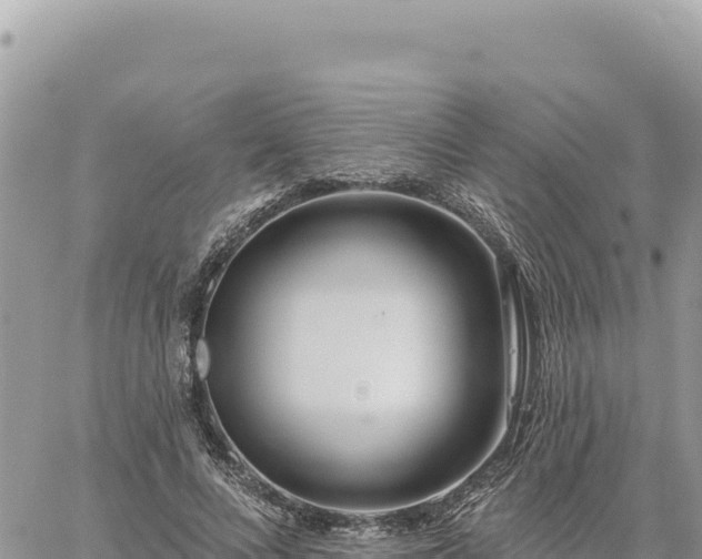 X0000060760688200511171148