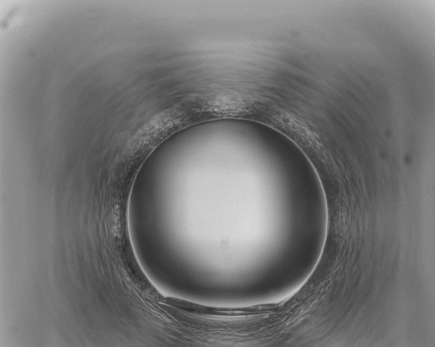 X0000060760689200511171148