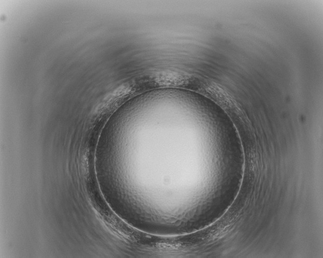 X0000060760690200511171148