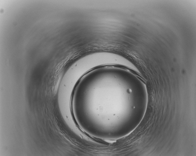 X0000060760691200511171148