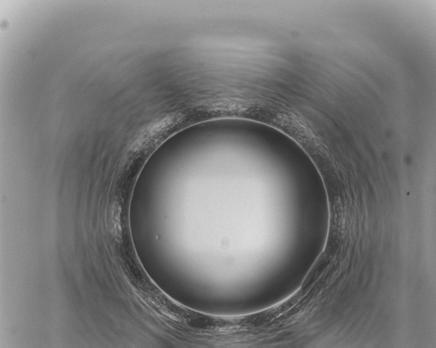 X0000060760692200511171148