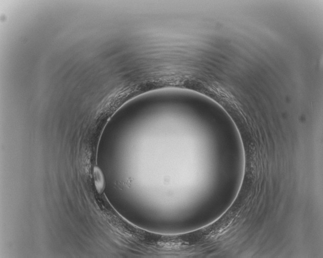 X0000060760693200511171148