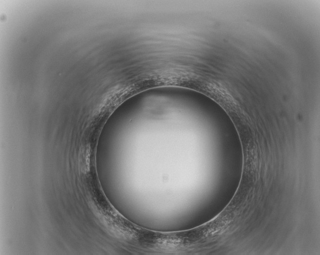 X0000060760694200511171148