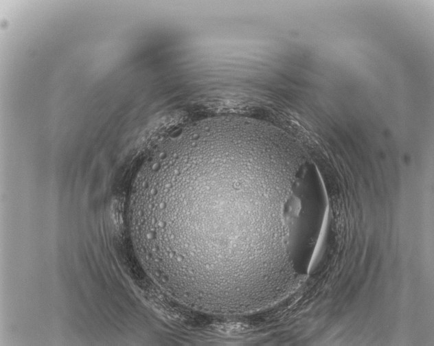 X0000060760695200511171148