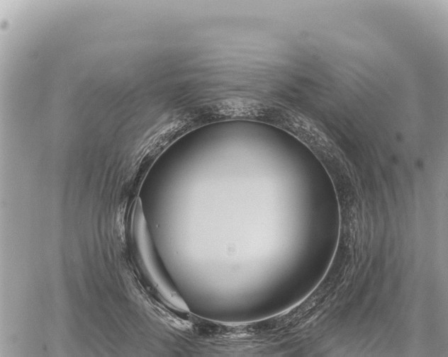 X0000060760696200511171148