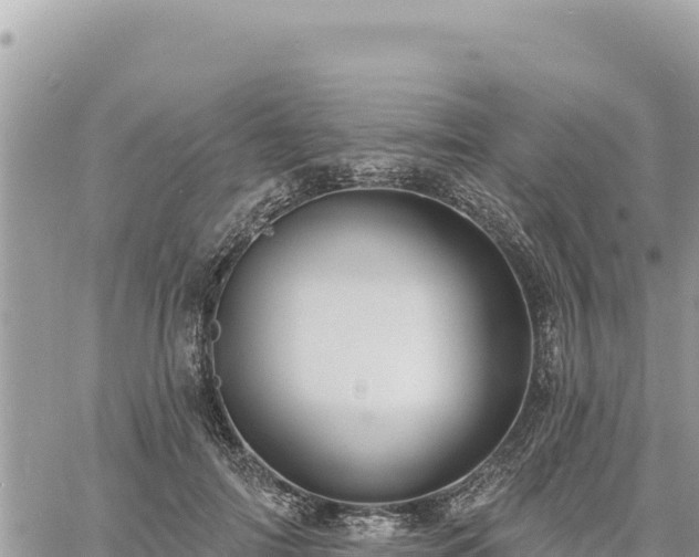 X0000060760698200511171148