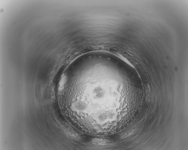 X0000060760699200511171148