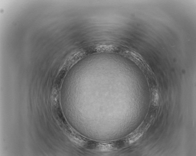 X0000060760701200511171148