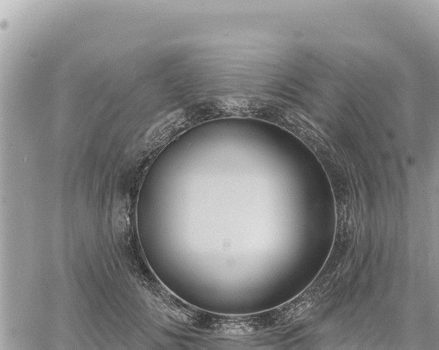 X0000060760702200511171148